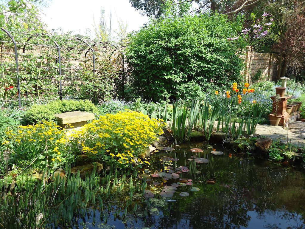 هاستَنغ St Benedict - Victorian Bed And Breakfast المظهر الخارجي الصورة
